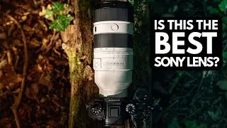 Sony FE 70-200mm f2.8 GM OSS II Review | Worth the upgrade?