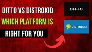 ditto vs distrokid ( which platform is right for you?)