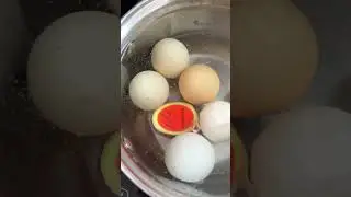 ТАЙМЕР ДЛЯ ВАРКИ ЯИЦ ⏱️