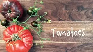 How To Grow Tomatoes In Containers | IN BETH'S GARDEN