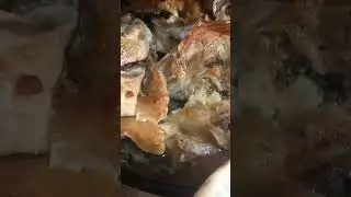 ГОЛОВЫ СЕМГИ ЗАПЕЧЕННЫЕ В ДУХОВКЕ ГОТОВЫ !