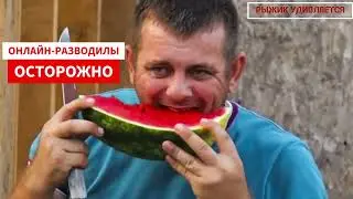 Онлайн-разводилы: жирная блоха,клоп-глистомет и таракан-кабан/Деревенский Дневник Очень Многодетной