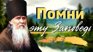 Помни эту заповедь и исполняй её! Амвросий Оптинский