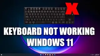 How To Fix Keyboard Not Working in Windows 11[Solved]