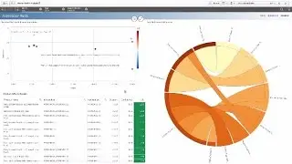 Qlik Demo - Market Basket Analysis