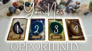 🐇What Is Your Next Opportunity❔🤍 Pick A Card  🦢 Tarot Reading