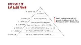 SAP BASIS ADMIN:  LIFE CYCLE