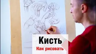 Как рисовать Кисть - А. Рыжкин