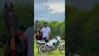 Prem❤️ #shortvideo #youtubeshorts #shorts #horse