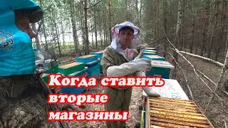 СТАВИМ ВТОРЫЕ МАГАЗИНЫ ПОД МЁД НА СВОИХ ТОЧКАХ ПЧЕЛОСЕМЬЯМ