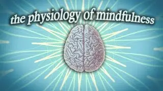 The Physiology of Mindfulness