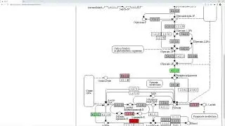 RNA-Seq9. Как аннотировать дифференциально экспрессирующиеся гены в iDEP