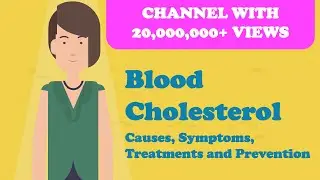 Cholesterol / Blood Cholesterol - Causes, Symptoms, Treatments and Prevention