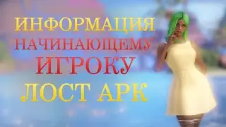 Лост Арк Для Новичка 2024