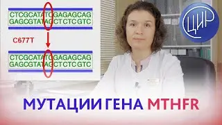 Мутации гена  MTHFR (метилентетрагидрофолатредуктазы). Кочанжи М.И.