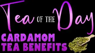 CARDAMOM TEA BENEFITS - Tea of the Day #95 -