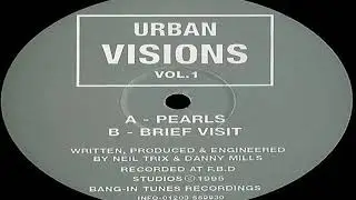 Neil Trix & Danny Mills - Brief Visit (1995)