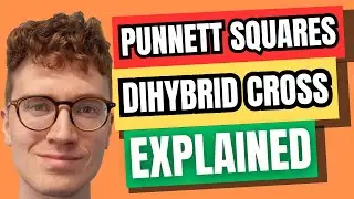 DIHYBRID CROSS EXPLAINED