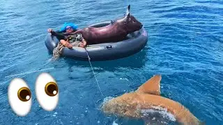 Strongest Men Vs Shark in InflataBull (Catching Big Shark in a Blow Up Toy Float)