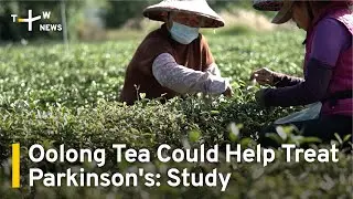 Oolong Tea Could Help Treat Parkinson's Disease: Study | TaiwanPlus News