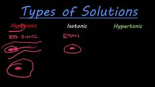 The difference between hypotonic, isotonic, and hypertonic solutions