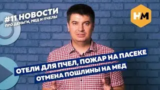 Новости пчеловодства #11 / Пожар на пасеке, экспорт меда в Катар, пошлины в ЕС