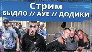 Стрим Андрея Рейсера // Быдло / Дети АУЕ и прочие неадекваты