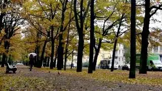 УХОДЯЩАЯ ДЕВУШКА С ЗОНТОМ  Футаж
