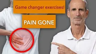 Game changer for back pain : Do this exercise every day! 👊