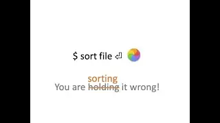 You are sorting it wrong - speed up sort by 50x