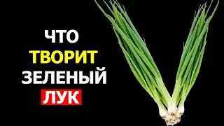 Вот что произойдет с организмом, если начать есть Зеленый Лук каждый день (Удивительно)