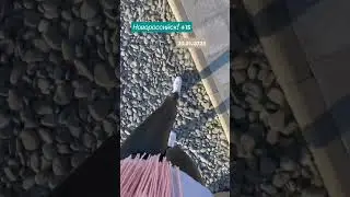 #переезднаюг