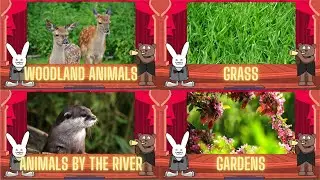 Classical Baby Woodland Animals, Grass, Animals by the River, Gardens by Oxbridge Baby