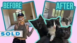 Renovating a Kitten Rescue Dream Home!