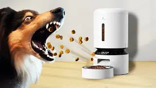 Petlibro Granary - Smart Home for My Dog?