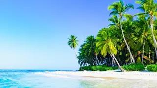 Tropical Beach Relaxation Cafe Music with Seaside Bossa Nova Jazz for Stress Relief