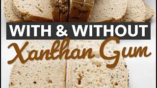 Yeast-Free Gluten-Free Vegan Bread Recipe TEST with Xanthan Gum