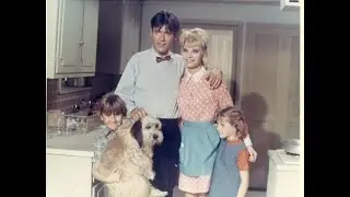 Blondie : Unaired Episode (1969) CBS Episode 'Run, Bunny, Run' . Patricia Harty, Will Hutchins