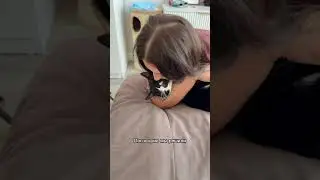 ВЫГНАЛ ЖЕНУ ИЗ-ЗА КОТОВ 