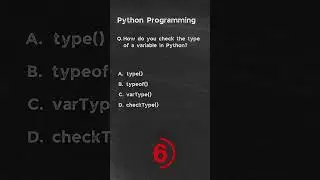 How do you check the type of a variable in Python? | Python Questions