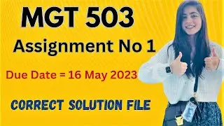 MGT503 Assignment 1 Solution |Spring 2023  MGT503 Assignment 1 Solution 2023|