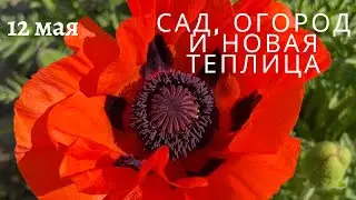 сад, огород и новая теплица