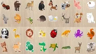 Learn Animal Educational Cartoon for Kids Puzzles Game