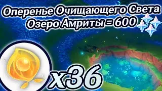 Все Оперенье Очищающего Света на карте. Озеро Амриты на максимальный уровень. 600 гемов Геншин 3.6