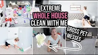 NEW! EXTREME WHOLE HOUSE CLEAN WITH ME 2020 | ALL DAY SPEED CLEAN & ORGANIZE | CLEANING MOTIVATION