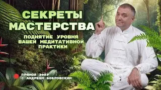 СЕКРЕТЫ МАСТЕРСТВА: Поднятие уровня медитативной практики / Прямой эфир с Андреем Бобровским