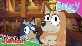 🐶 Superfan Quiz | Bluey | Disney Kids