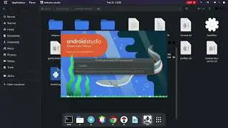 how to install android studio on kali linux or Ubuntu or any unix OS