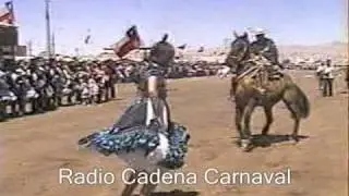 Caballo baila cueca en Calama (cueca con riendas)