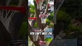 A Basketball Tree That you CAN’T miss on #basketball #shorts